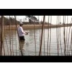 Воблер Rapala X-Rap Countdown - цвят TR