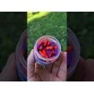 FishPro Метод Мания Spicy Fish  - Комплект за Шаран, Каракуда, Платика