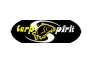 Луксозен бъзбар Carp Spirit Inox 300