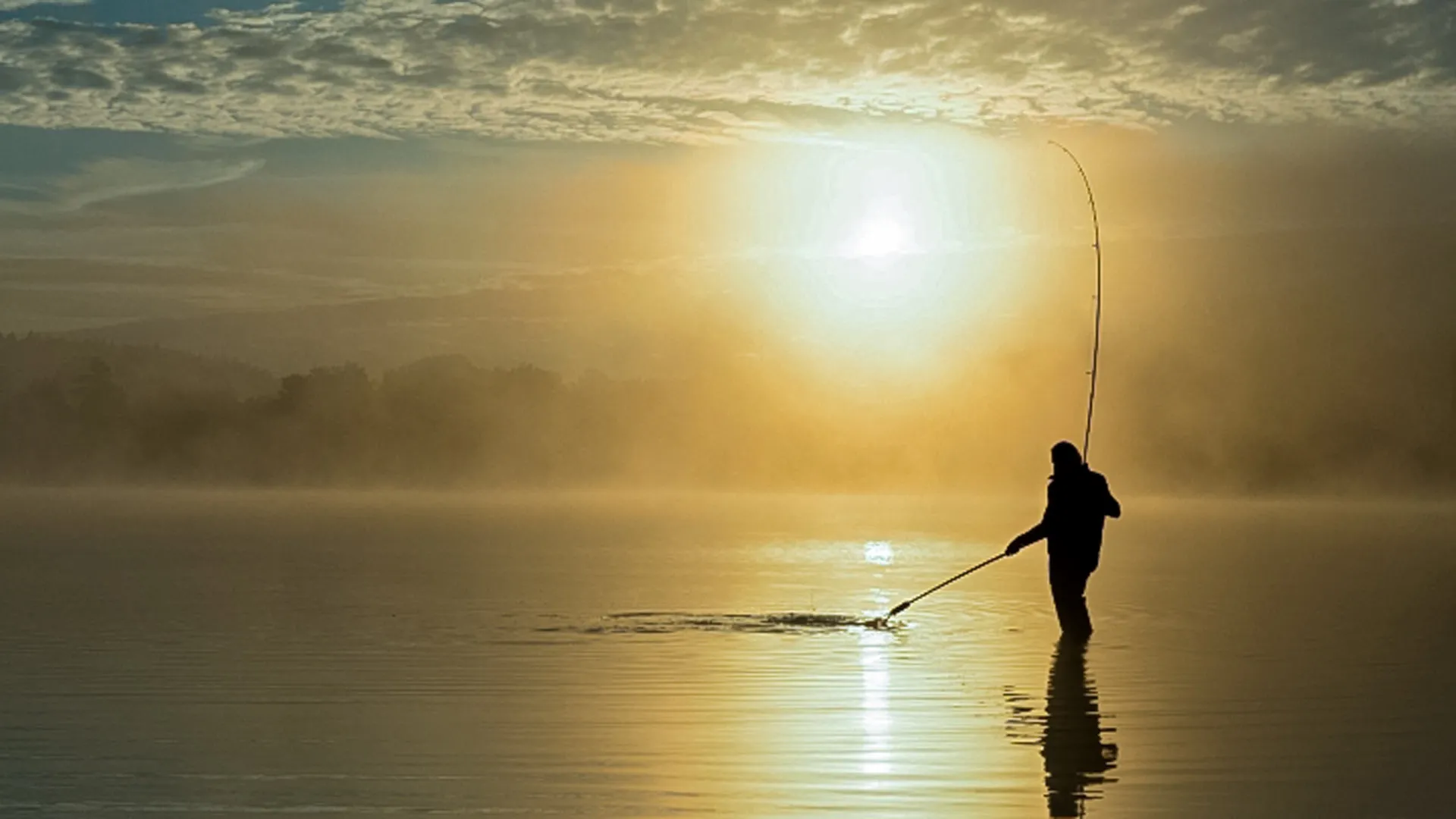 Шаранджия, до колене във водата и вади голям шаран с кеп