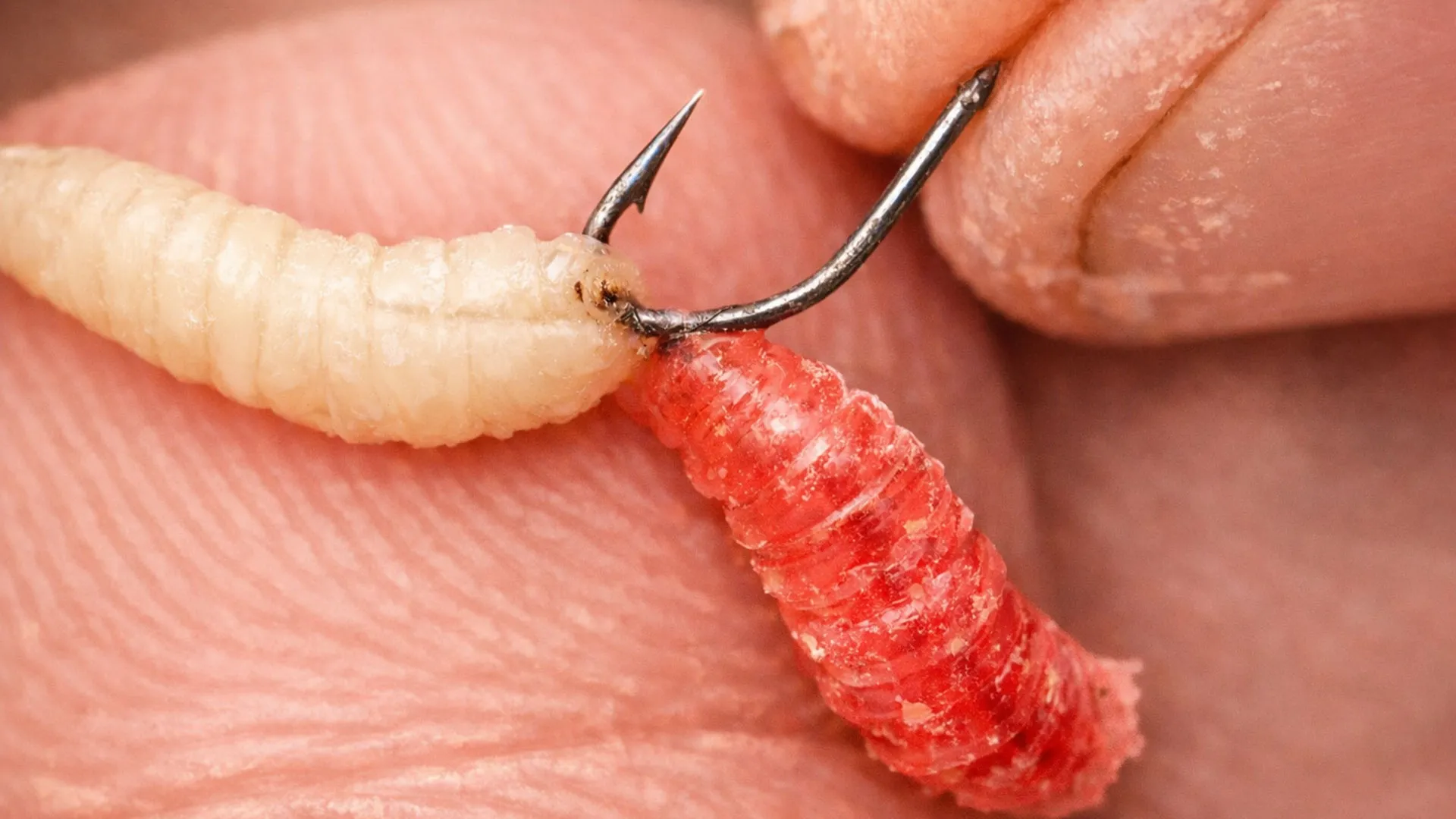 Микро кука номер 18 с ларва пинка - фина презентация за пасивна риба в студена и бистра вода.